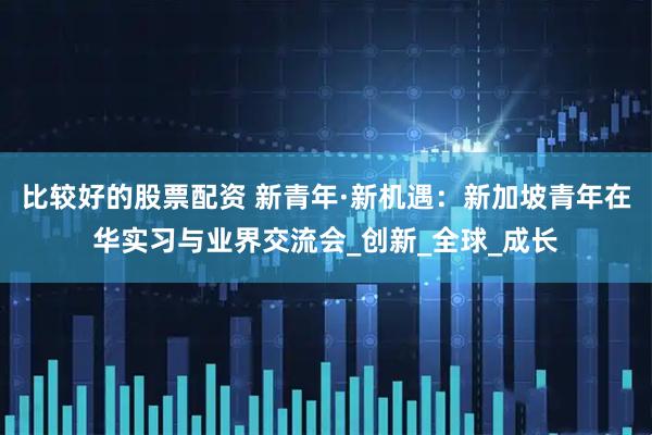 比较好的股票配资 新青年·新机遇：新加坡青年在华实习与业界交流会_创新_全球_成长