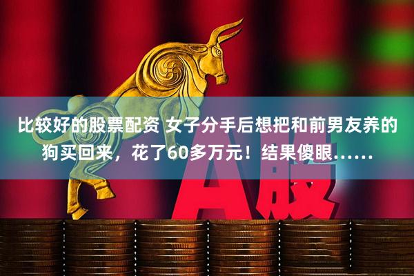 比较好的股票配资 女子分手后想把和前男友养的狗买回来，花了60多万元！结果傻眼……