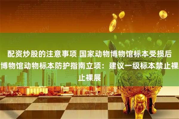 配资炒股的注意事项 国家动物博物馆标本受损后，博物馆动物标本防护指南立项：建议一级标本禁止裸展