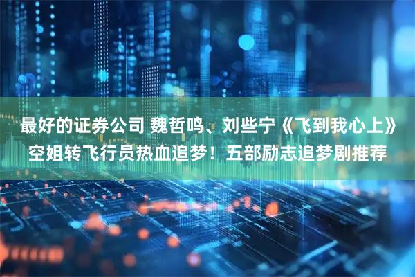 最好的证券公司 魏哲鸣、刘些宁《飞到我心上》空姐转飞行员热血追梦！五部励志追梦剧推荐