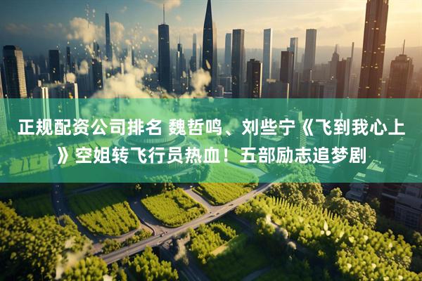 正规配资公司排名 魏哲鸣、刘些宁《飞到我心上》空姐转飞行员热血！五部励志追梦剧